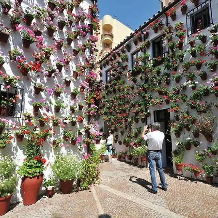 Apartmán Centrum Con Parking *