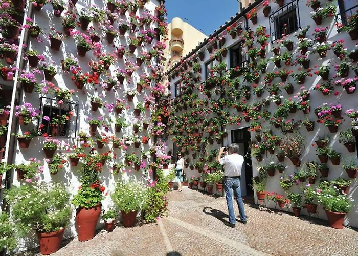 Apartmán Centrum Con Parking *